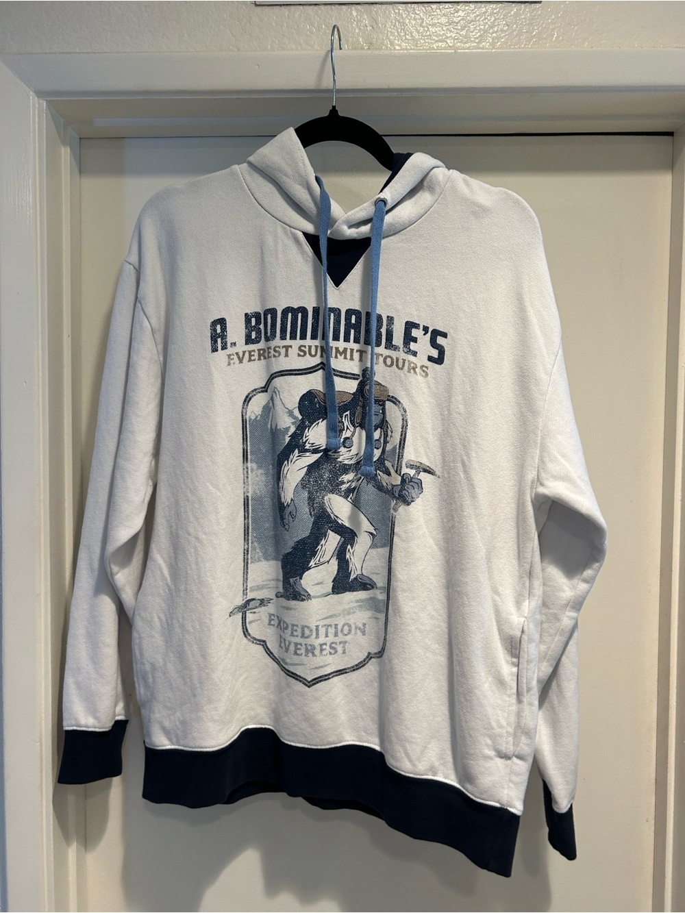 Disney Abominable Everest Summit Graphic Hoodie